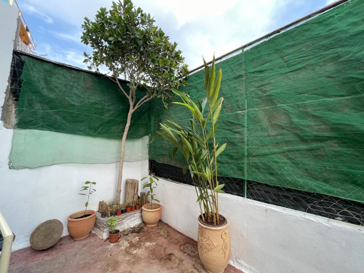 Jungle Surf House Hostel Taghazout Exterior foto