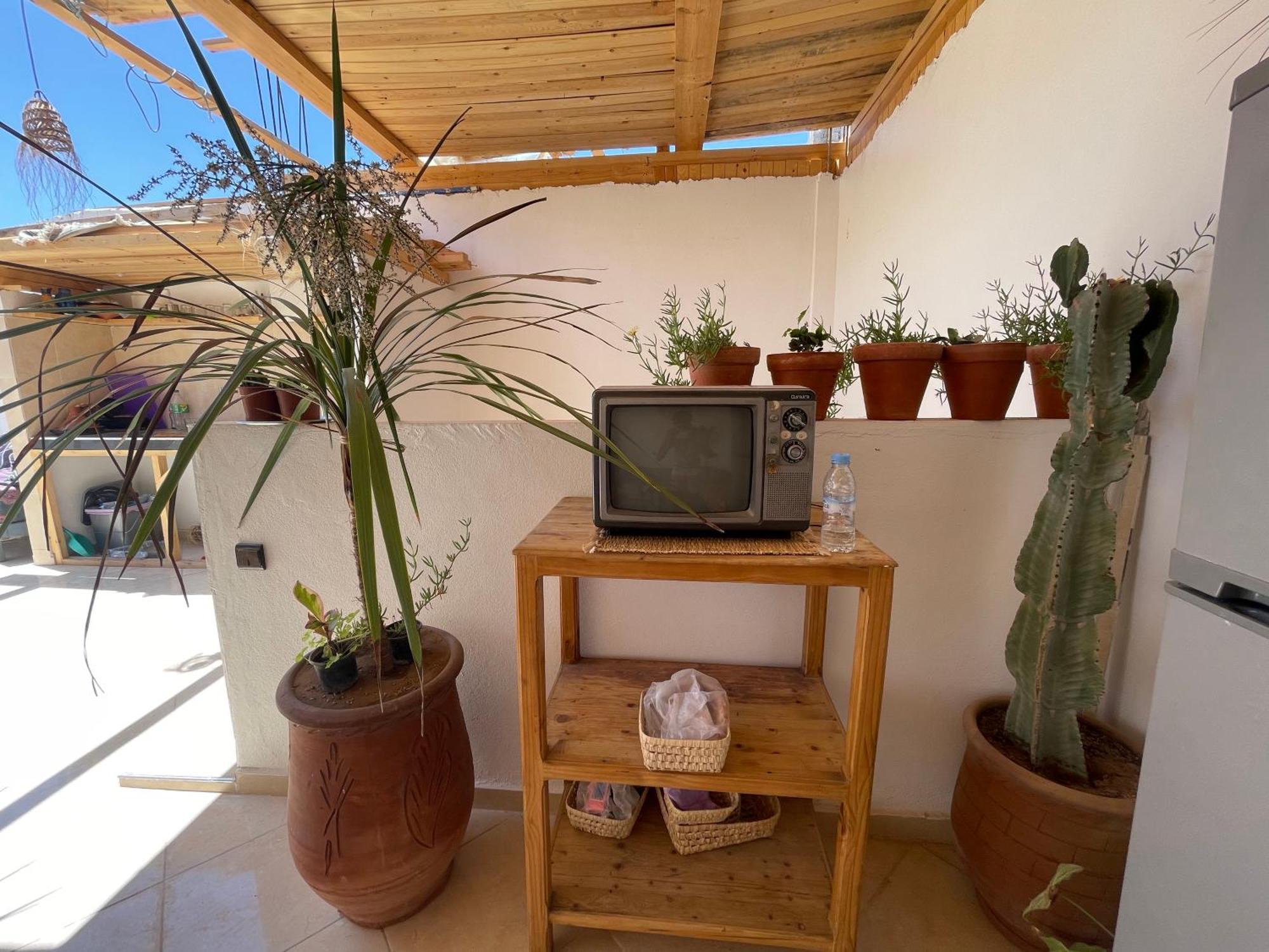 Jungle Surf House Hostel Taghazout Exterior foto