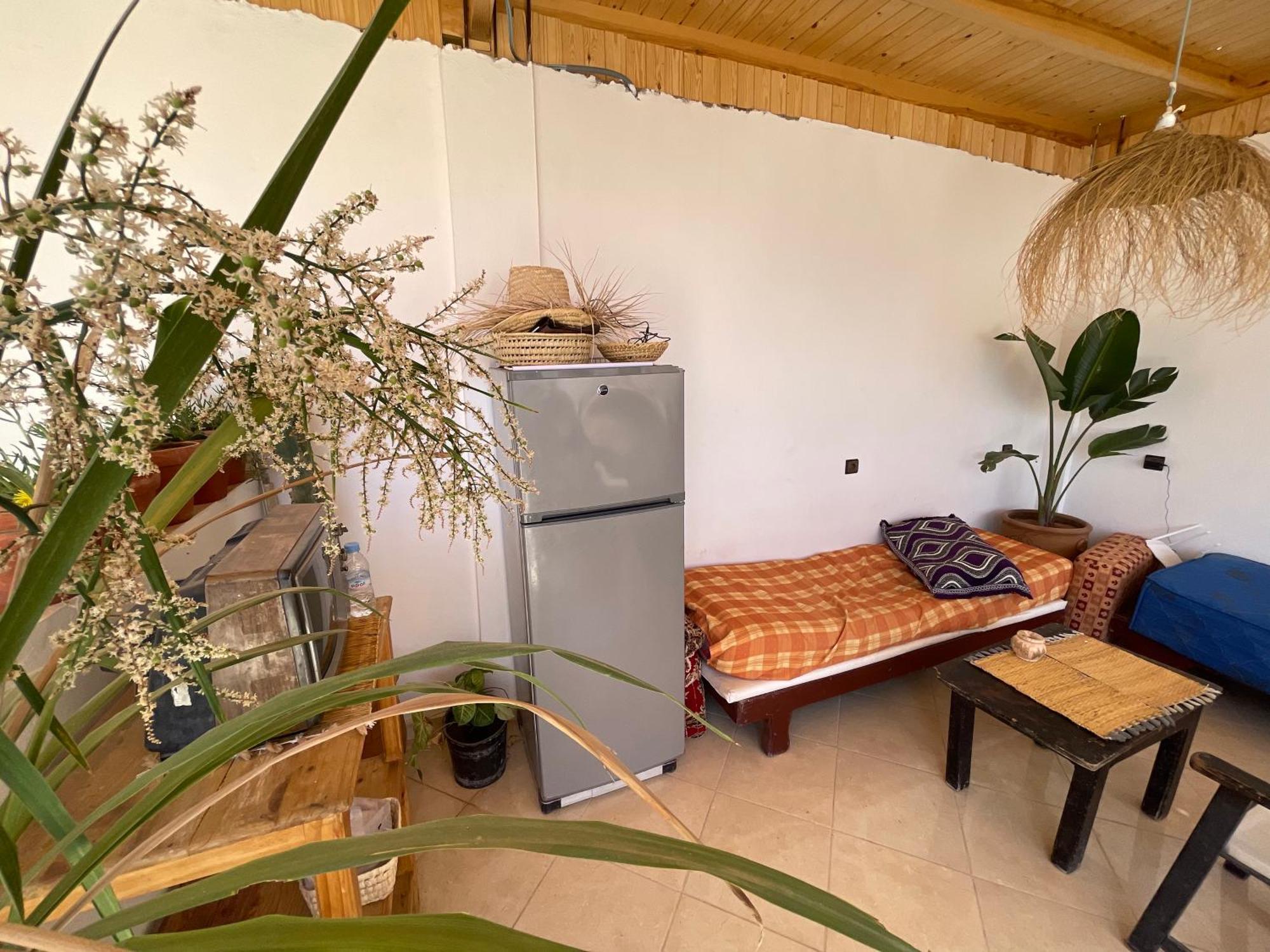 Jungle Surf House Hostel Taghazout Exterior foto